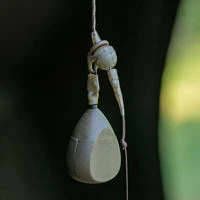 Evolve Tackle Run Ring System Kits